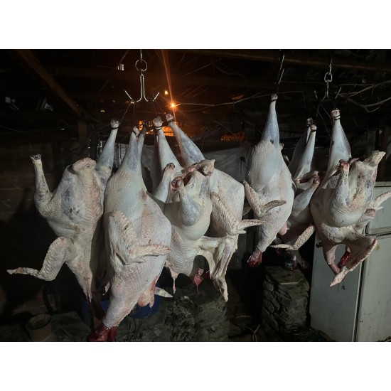 1/2 (yarım) HİNDİ ( Köyde yetişmiş, ort 3,5 kg  Temizlenmiş köy hindisi)