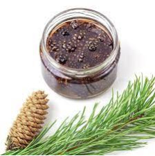 Çam Kozalak Şurubu (450 gr)