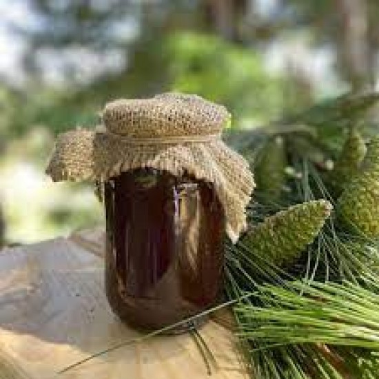 Çam Kozalak Şurubu (450 gr) Şifa niyetine Ev yapımı