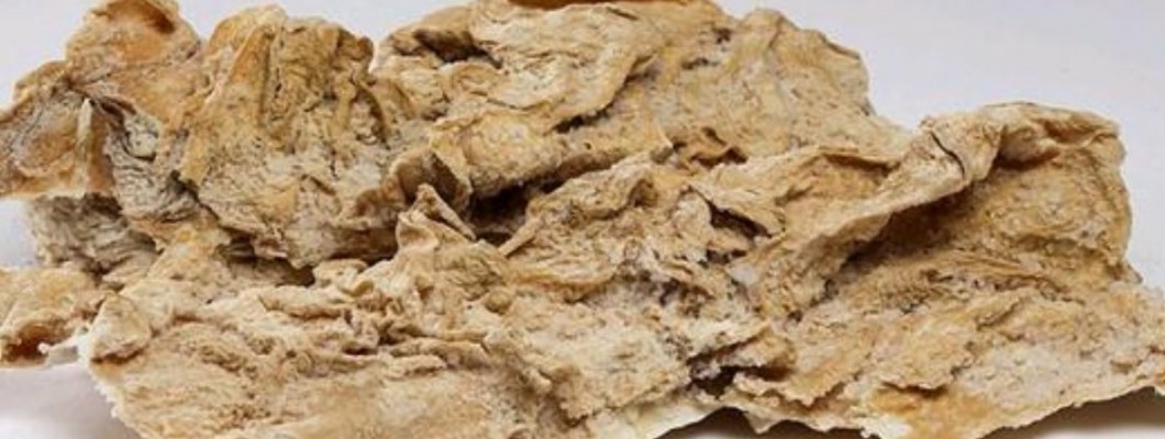 Kargı Tulum Peyniri, Şirden Mayası, Nasıl Yapılır ?