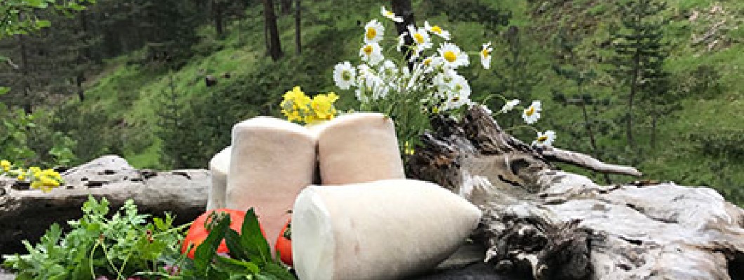 Kargı Tulum Peyniri Yapımına Nasıl Başladık ?