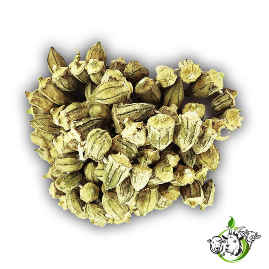 Çiçek Bamya (Kuru) 250 gr 1.Kalite %100 Doğal ve Organik