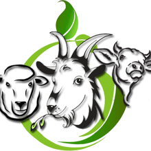 Özel Kampanya Paketleri